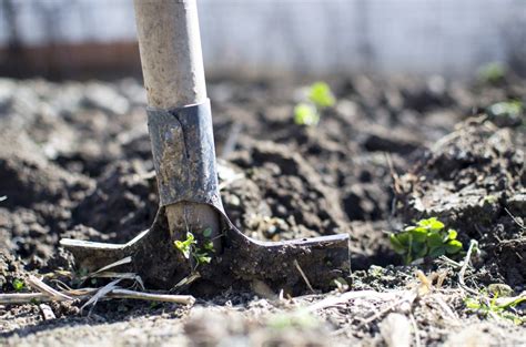 6 Ways to DIY Soil Test Your Garden Soil – Hillsborough Homesteading