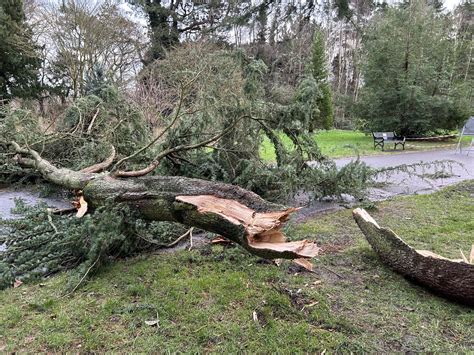 Storm Jocelyn brings further Northern Ireland disruption after Storm ...