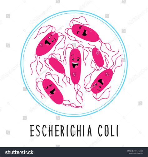 Funny Gut Escherichia Coli Bacteria Family Stock Vector (Royalty Free) 1331262668 | Shutterstock