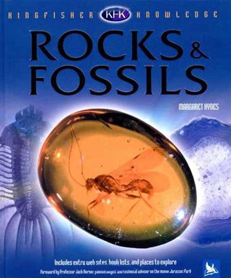 Kingfisher Knowledge: Rocks and Fossils: Hynes, Margaret: 9780753459744: Amazon.com: Books