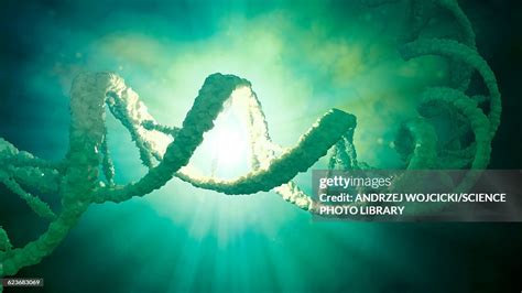 Dna Strand Model High-Res Vector Graphic - Getty Images