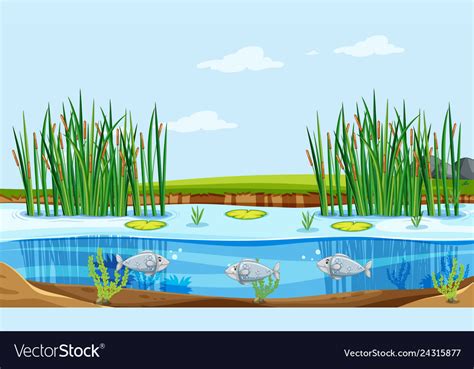 Fish pond nature scene Royalty Free Vector Image