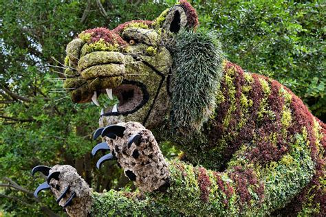 Big Cat Bush Sculpture at Busch Gardens in Tampa, Florida - Encircle Photos