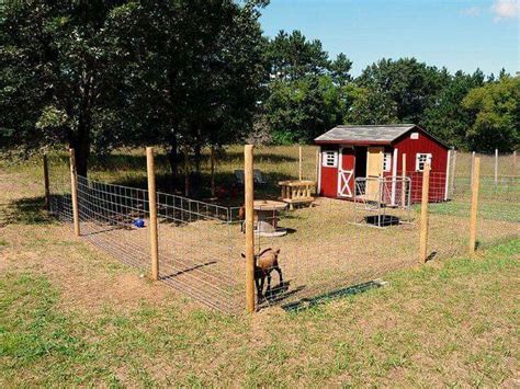 Pin by Jamie Sheff on Home Sweet Home | Goat house, Goat shelter, Goat barn