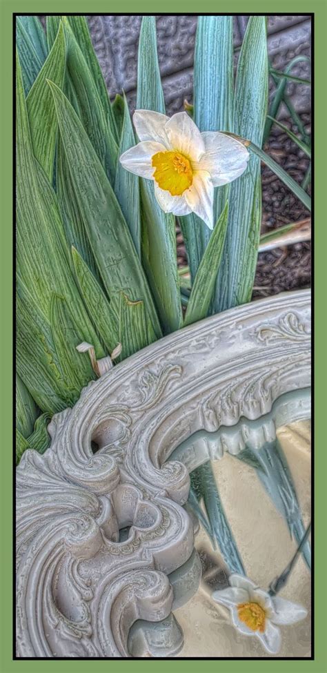 Narcissus | Greek mythology tattoos, Echo greek mythology, Narcissus tattoo