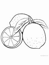 Print lime coloring page 1  Fruit pages Coloring sketch template