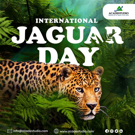 Acade Studio — International Jaguar Day