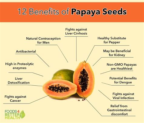 Benefits of Papaya Seeds for Kidney, Liver, Stomach & More