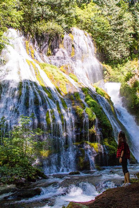 Two waterfalls of Gifford Pinchot National Forest – MilaDidIt