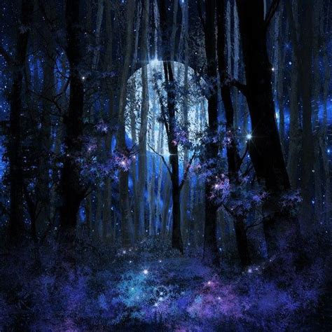 a forest filled with lots of trees covered in stars and moon lights at ...