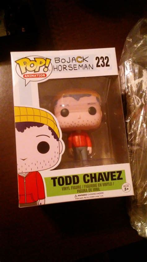 Finally got Aaron Paul's wonderful Todd Chavez for my birthday yesterday! | Vinyl figures, Vinyl ...