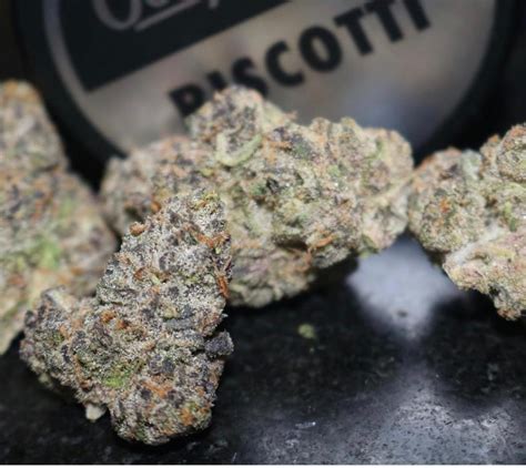 biscotti weed strain - buy biscotti weed - biscotti strain - cali plug 420