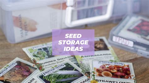 17+ BEST Seed Storage Ideas | How to Store Seeds! - PunkMed