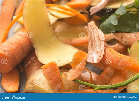 Vegetable Peels for Compost Stock Photo - Image of closeup, garbage ...