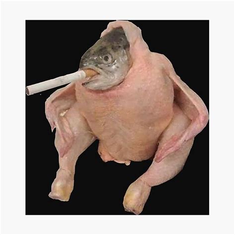 The Best 14 Chicken With A Fish Head Smoking A Cigarette - greatmediamix