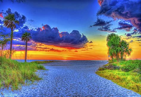 SUNSET from FLORIDA, sunset, trees, sky, clouds, forces of nature, beach, splendor, HD wallpaper ...