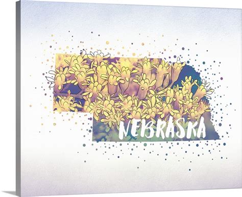 Nebraska State Flower (Goldenrod) Wall Art, Canvas Prints, Framed ...