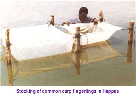 CARP BREEDING AND HATCHERY MANAGEMENT | Pashudhan praharee