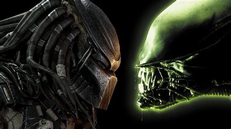 Alien vs Predator Wallpapers - Top Free Alien vs Predator Backgrounds - WallpaperAccess