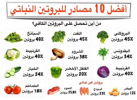 تعرف على الفرق بين البروتينات الحيوانية والنباتية - مجلة مطبخكم