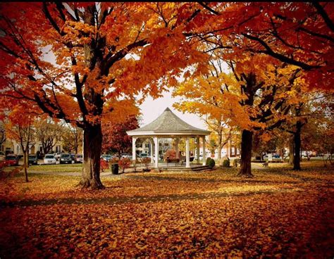 Upstate NY fall... My favorite season!!!!! #winterupstateny | Fall pictures, Autumn magic, Scenery