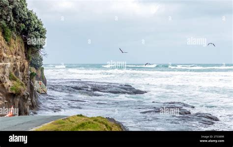 Muriwai Beach with big sea waves in bad weather: one of the Best Trails in Muriwai Regional Park ...