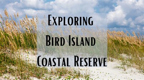 Exploring Bird Island Coastal Reserve