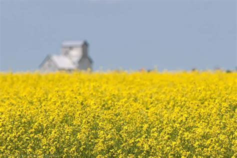 Confessions of a Train Geek: Grain Elevator Art