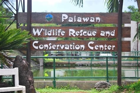 Palawan Wildlife Rescue and Conservation Center