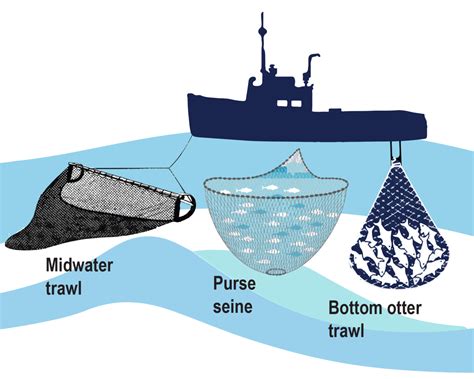 What is a wide trawl, Fishing Gear Types 101: Trawling