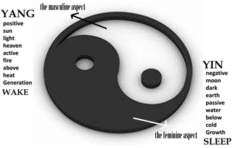 Well-Known Powerful Yin Yang Symbol Dates Back To Ancient China - Ancient Pages