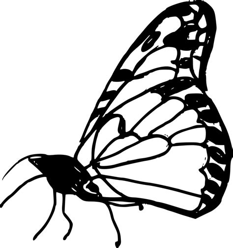 10 Butterfly Drawing (PNG Transparent) | OnlyGFX.com