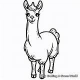 Llama Coloring Pages  Free & Printable sketch template