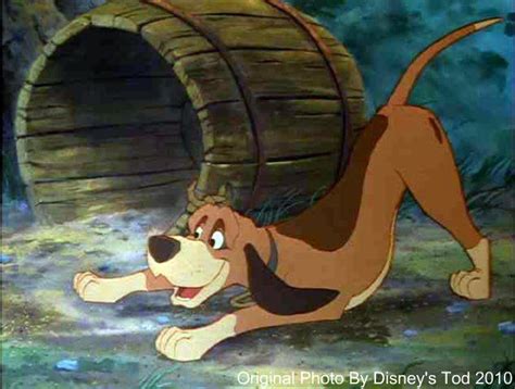 copper - The Fox and the Hound Photo (18194758) - Fanpop