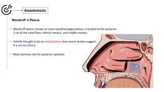 VASCULAR ANATOMY OF THE NOSE.pdf