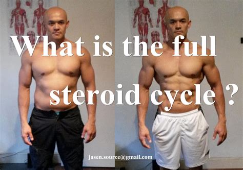 What is the full steroid cycle