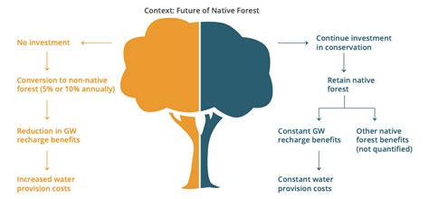 Forest protection provides important cost savings to water utility on Maui - UHERO