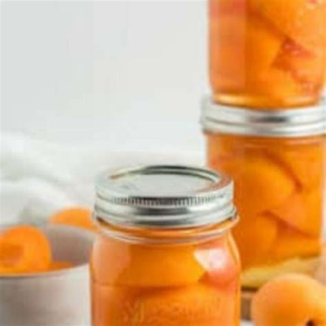 Buy Wholesale United States Canned Apricots & Canned Apricots at USD ...