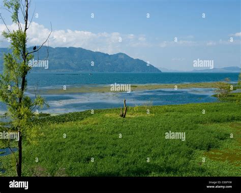 Honduras. Yojoa lake Stock Photo - Alamy