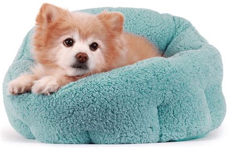 Best Heated Dog Beds for Toasty Naps, Snoozes, and Sleeps