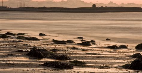 shell island | looking towards shell island from llandanwg j… | Flickr