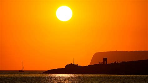 Scientists warn of dire outcome for marine life as Mediterranean Sea continues to heat up - ABC News