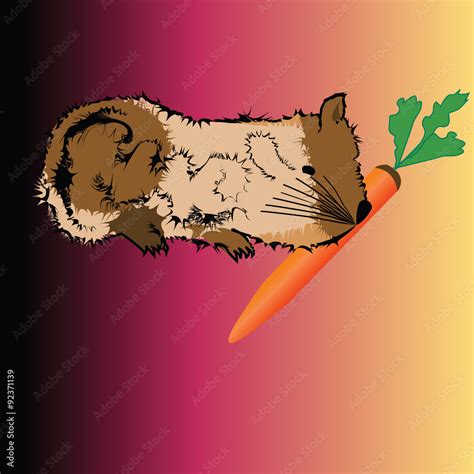 Hamster eating a carrot Stock Vector | Adobe Stock