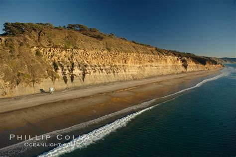 Torrey Pines State Reserve – Natural History Photography Blog