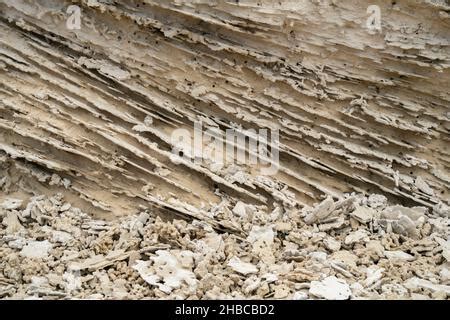 Calcarenite - rock texture Stock Photo - Alamy