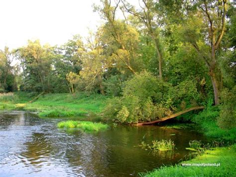 Bzura River in Sochaczew - Photo 6/8