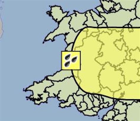 Weather Warning Issued as Heavy Rain & Potential Thunderstorms Expected ...