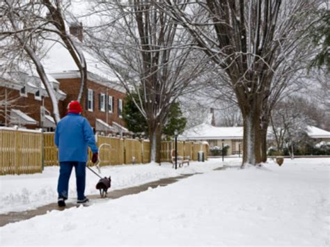 Arlington Weekend Weather: 'Significant' Snowstorm Possible | Arlington ...