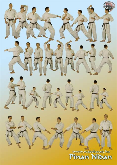 Karate kata, Shotokan, Wado ryu karate