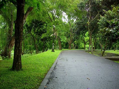 Manfaat Hutan Kota Yang Luar Biasa